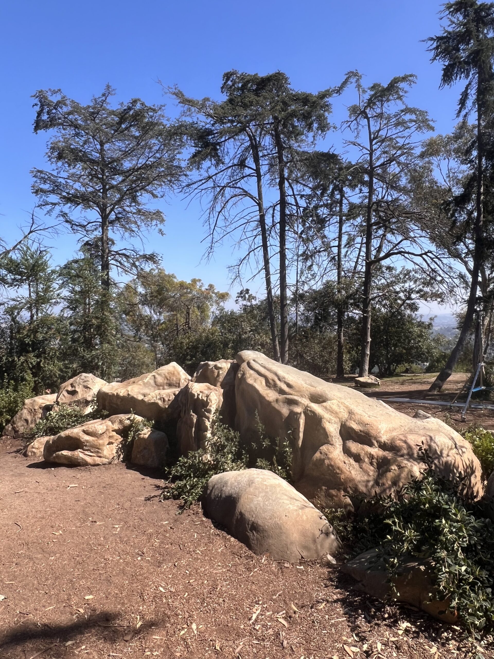 Fake rocks, painted to blend in with rocks at location.