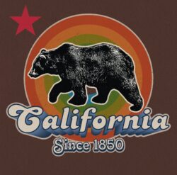 Logo created in Illustrator and Photoshop. Bear image from iStock then processed through Photoshop filters.